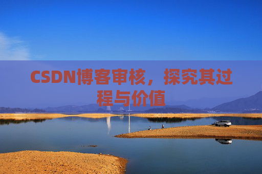 CSDN博客审核,探究其过程与价值